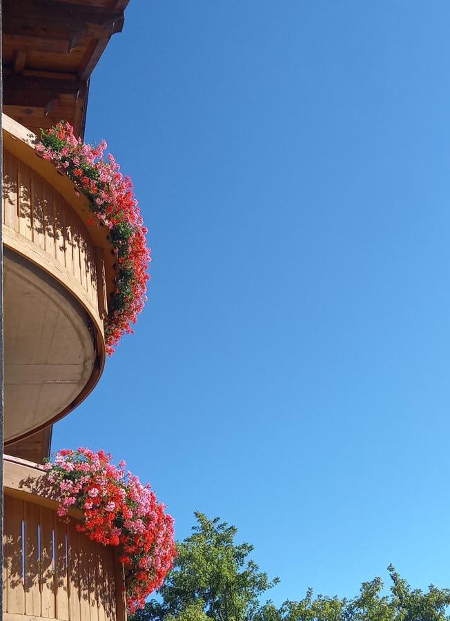 Al Truciolo Apartment Andalo Bagian luar foto